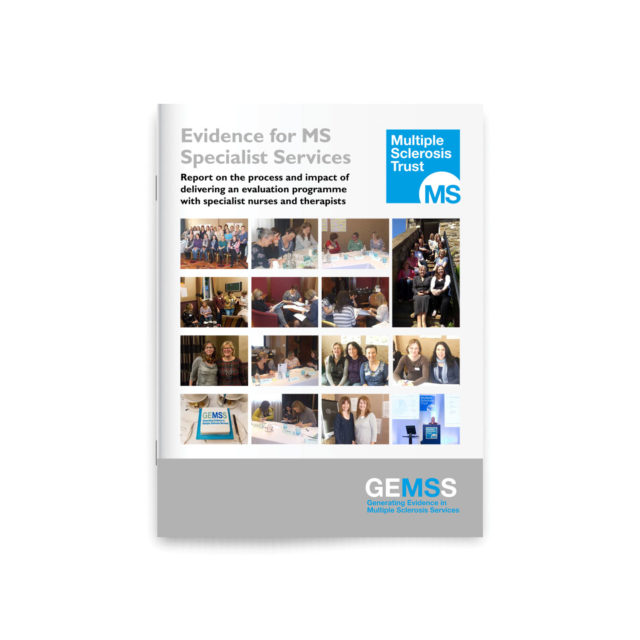 GEMMS process report