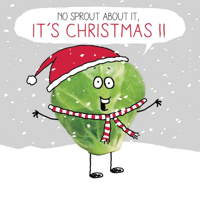 Illustration of sprout wearing a Christmas hat and scarf