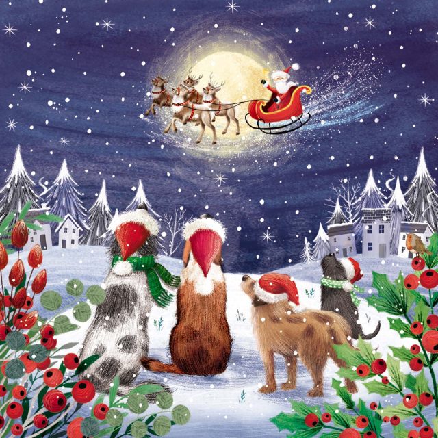 Dogs watching Santa's sleigh fly across moonlit sky