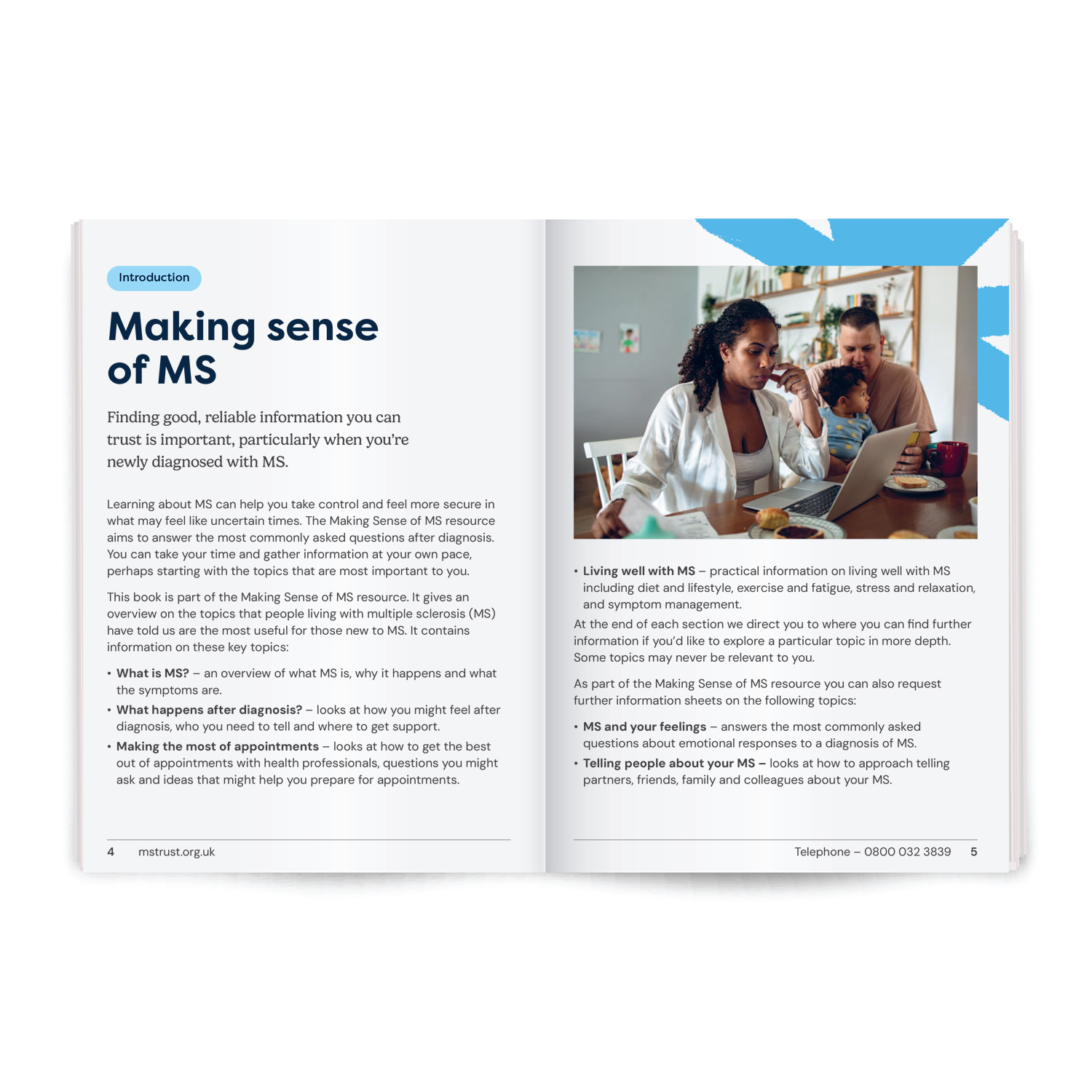Making Sense of MS: Core book - Image 2
